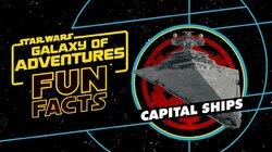 Capital Ships Capital Ships