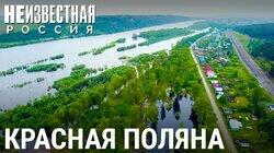 Не та Поляна Не та Поляна