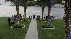 Monie Gets Married: Wedding Bells and Farewells Monie Gets Married: Wedding Bells and Farewells