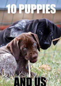 10 Puppies and Us - Season 1 10 Puppies and Us - Season 1