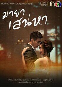 Illusion of Love Illusion of Love