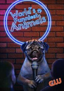 World's Funniest Animals World's Funniest Animals