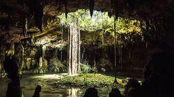 Forests of the Maya Forests of the Maya