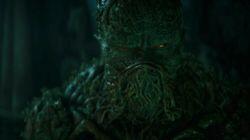 Swamp Thing to the Rescue! Swamp Thing to the Rescue!