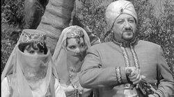 McHale's Floating Harem McHale's Floating Harem