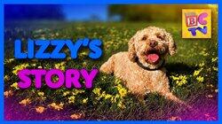 Lizzie's Story Lizzie's Story