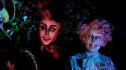 Terror In The Woods Terror In The Woods