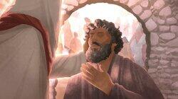 Matthew 8; Mark 2-4; Luke 7 Matthew 8; Mark 2-4; Luke 7