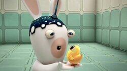 Rabbid Dreams / Snoring Rabbid / Hypno Rabbid Rabbid Dreams / Snoring Rabbid / Hypno Rabbid