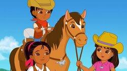 Mystery of the Magic Horses Mystery of the Magic Horses