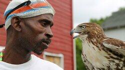 The Falconer The Falconer