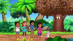 Return to the Rainforest Return to the Rainforest