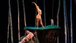 Enter the Faun Enter the Faun