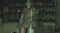 Cajun Skunk Ape and More Cajun Skunk Ape and More