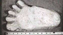 Utah Bigfoot Hunt and More Utah Bigfoot Hunt and More