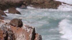 South Africa: Garden Route and Wine Country South Africa: Garden Route and Wine Country