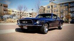 Mustang Man
