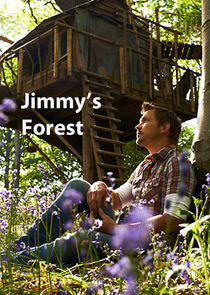 Jimmy's Forest Jimmy's Forest