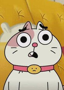 Cat Cat