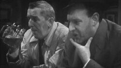 It Doesn't Grow on Trees It Doesn't Grow on Trees