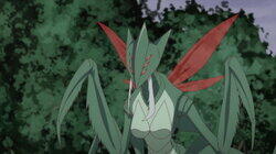 Let's Launch Our Counterattack Let's Launch Our Counterattack