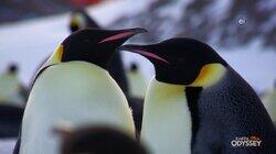 Wild Winters Wild Winters