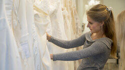 The Birds and the Bees