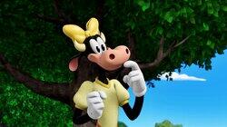 Clarabelle's New Coop Clarabelle's New Coop