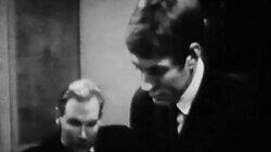 Sleeping Dogs Sleeping Dogs