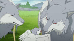 Tohda Attack Tohda Attack