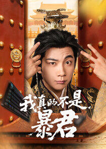 Wo Zhen De Bu Shi Bao Jun